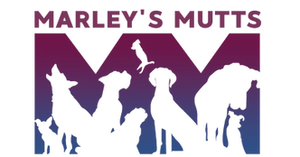 Marleys Mutts logo.png