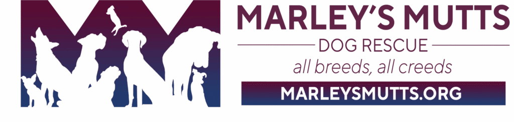 Marley’s Mutts